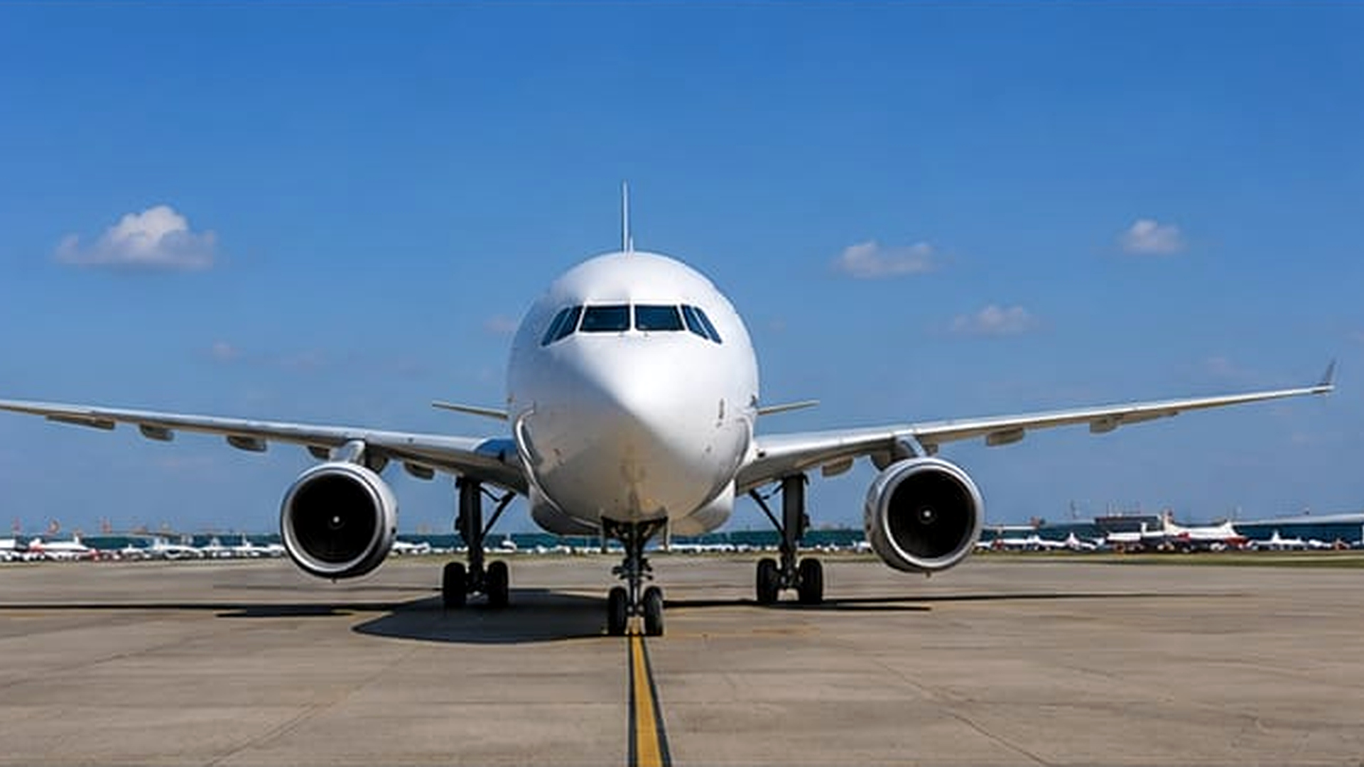 Aviation crew in flight simulation